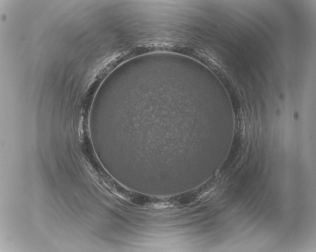 X0000056330692200508261221