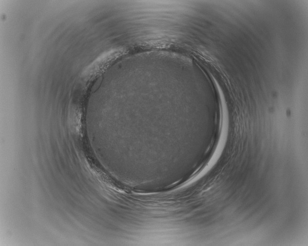 X0000056330693200508261221