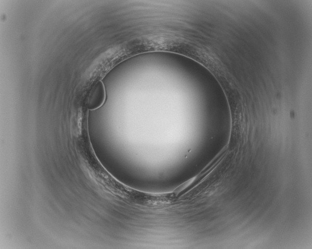 X0000056330694200508261221