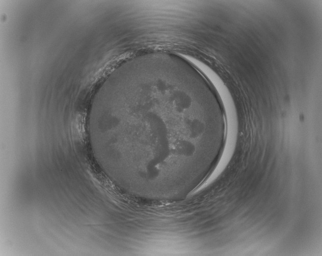 X0000056330695200508261221