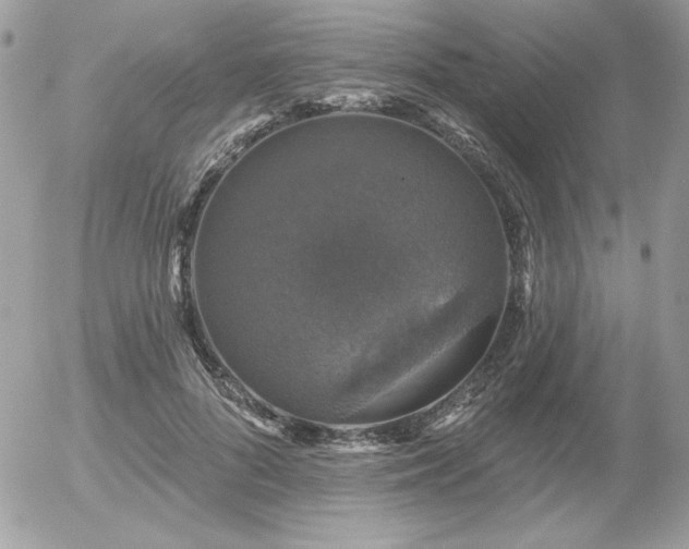 X0000056330696200508261221