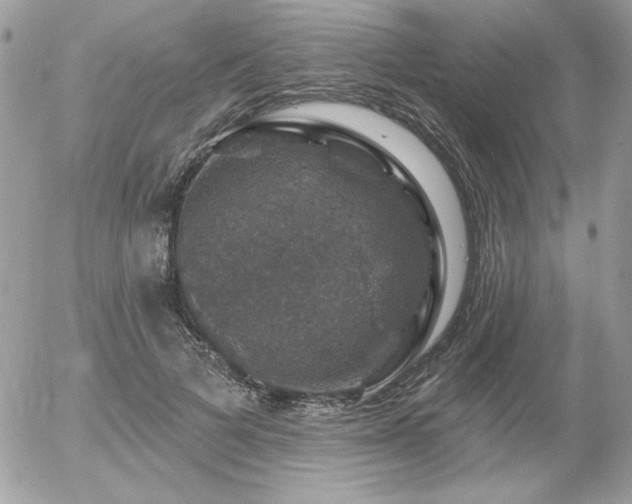 X0000056330697200508261221