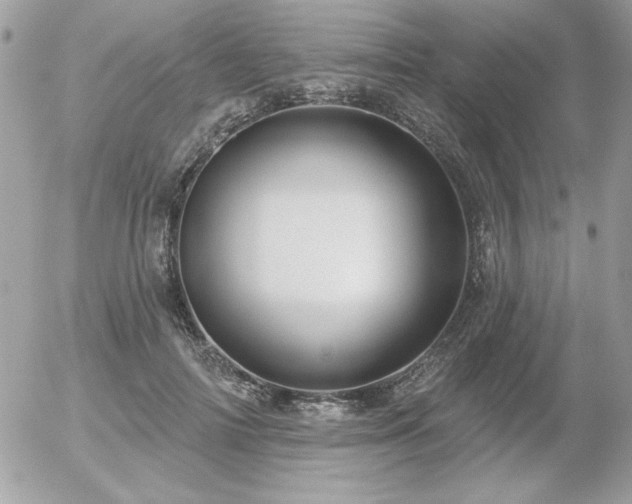 X0000056330698200508261221