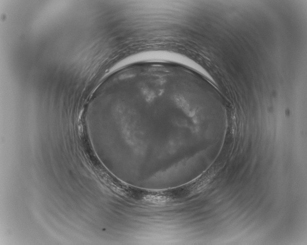 X0000056330699200508261221