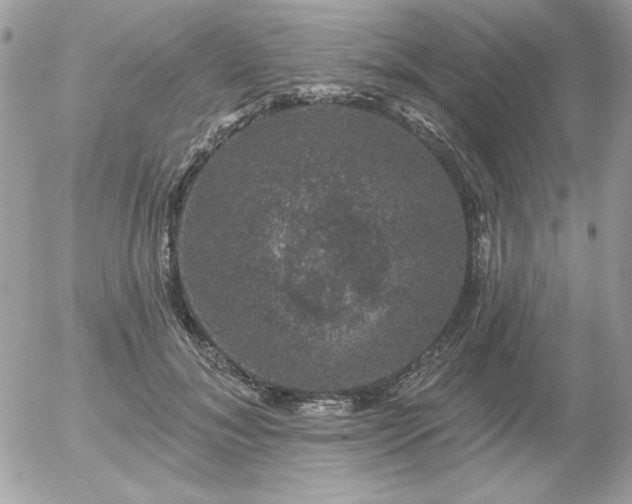 X0000056330700200508261221