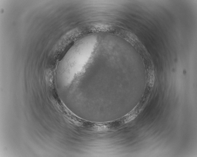 X0000056330701200508261221