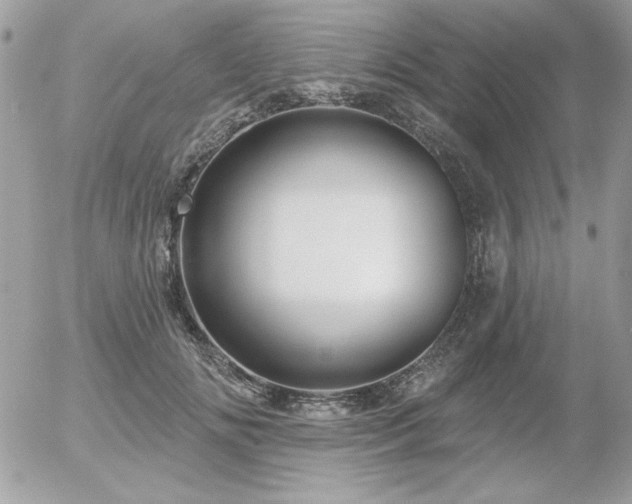 X0000056330702200508261221