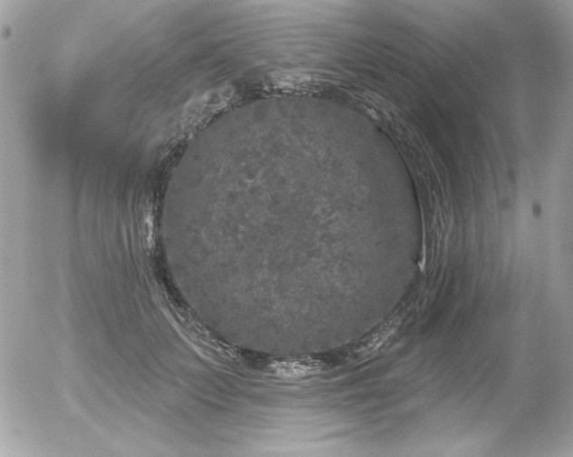 X0000056330703200508261221