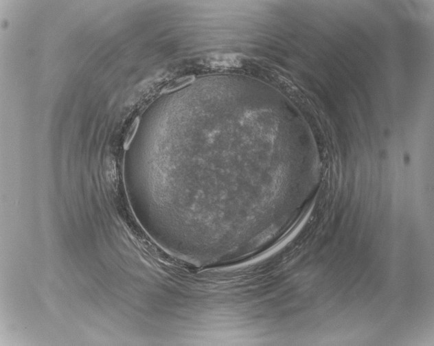 X0000056330704200508261221