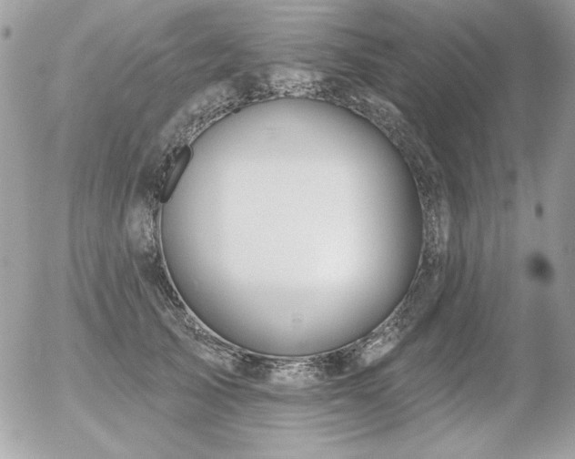 X0000056330705200508261221