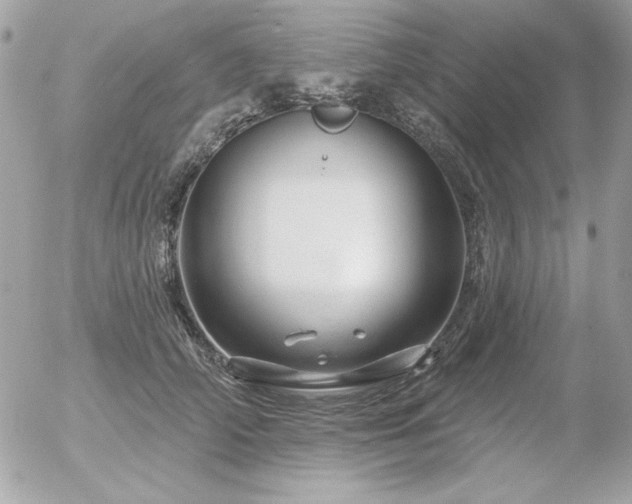 X0000056330706200508261221