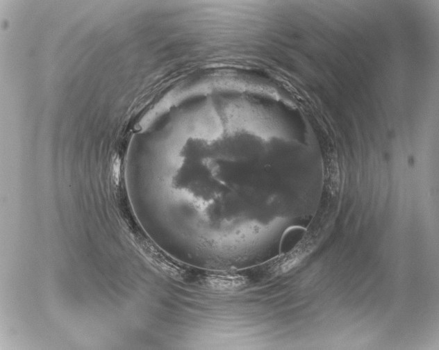 X0000056330707200508261221