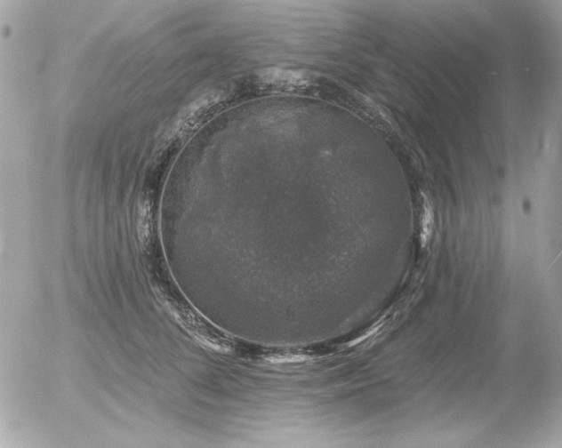 X0000056330708200508261221