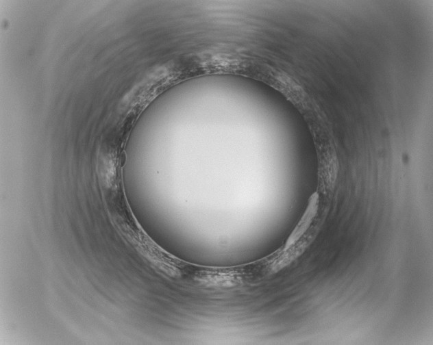 X0000056330709200508261220