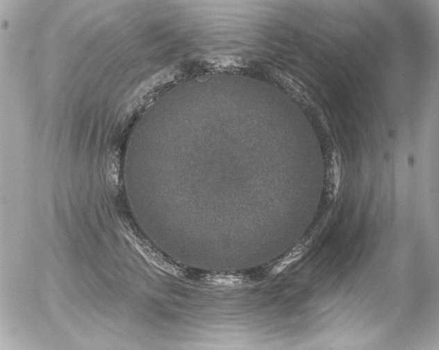 X0000056330710200508261220