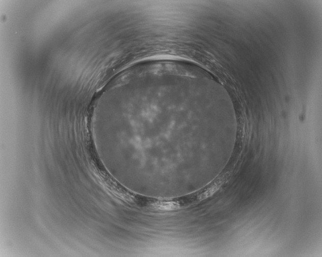 X0000056330711200508261220