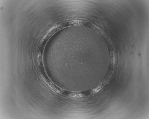 X0000056330712200508261220