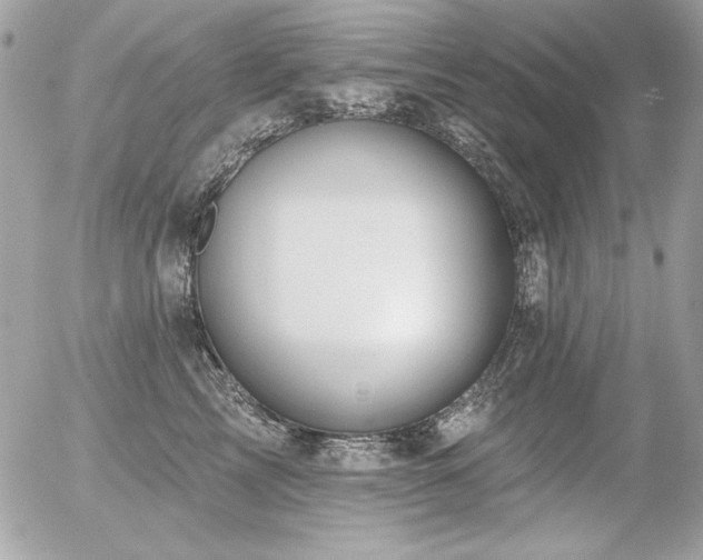 X0000056330713200508261220