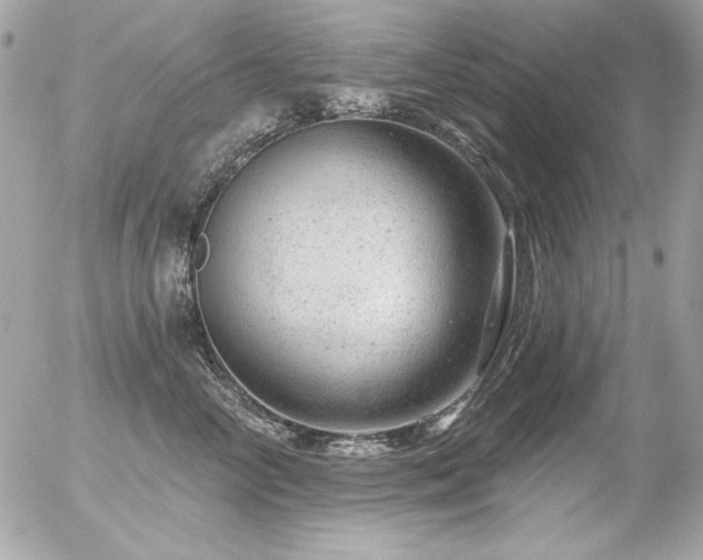 X0000056330714200508261220