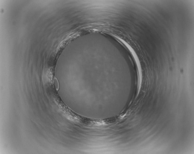 X0000056330715200508261220