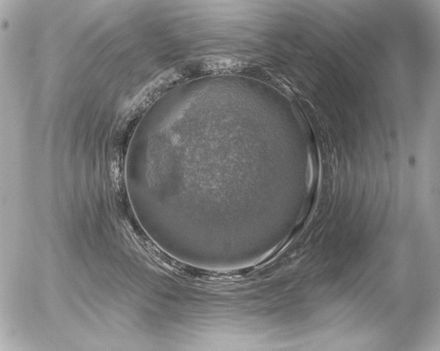 X0000056330716200508261220