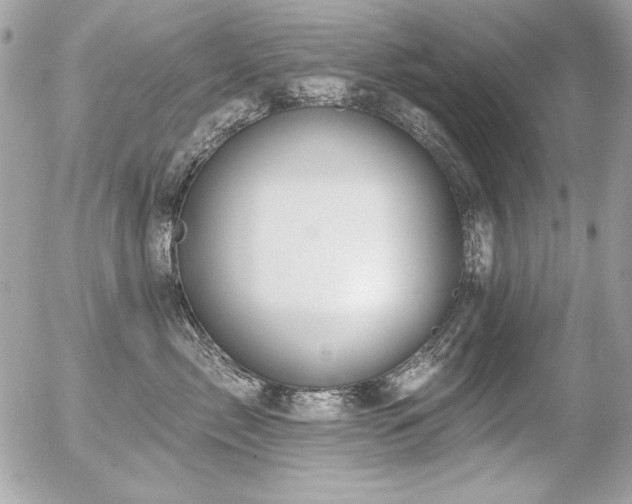 X0000056330717200508261220