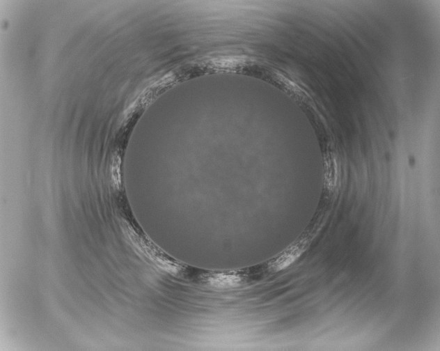 X0000056330718200508261220