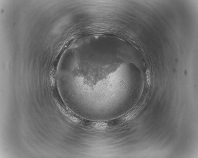 X0000056330719200508261220