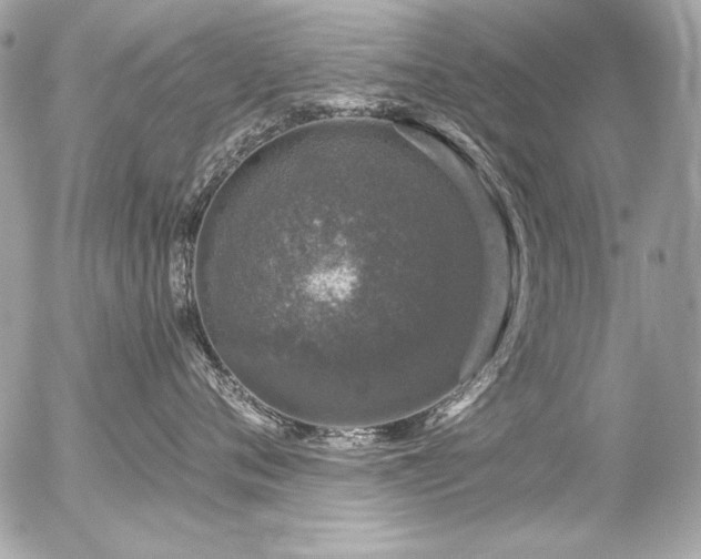 X0000056330720200508261220