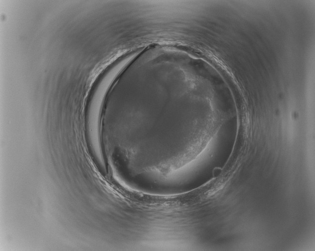 X0000056330721200508261220