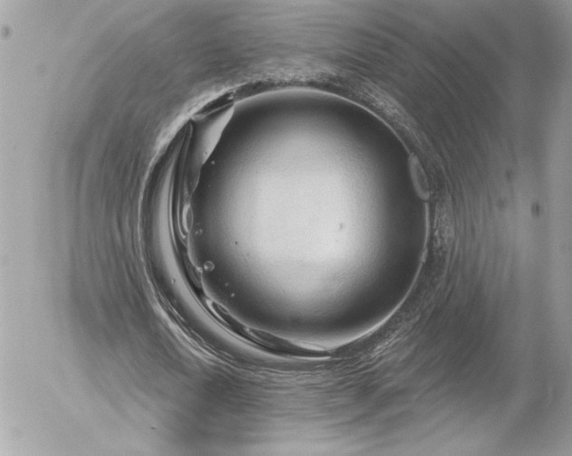 X0000056330722200508261220