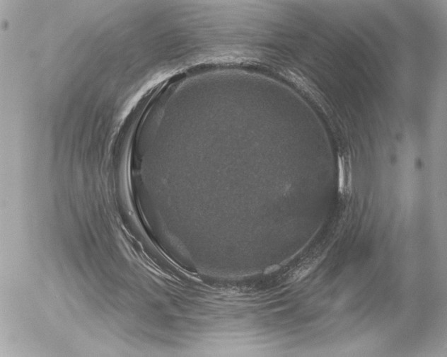 X0000056330723200508261220