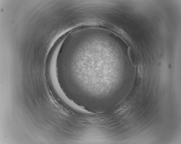 X0000056330724200508261220