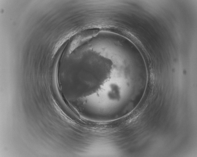 X0000056330725200508261220