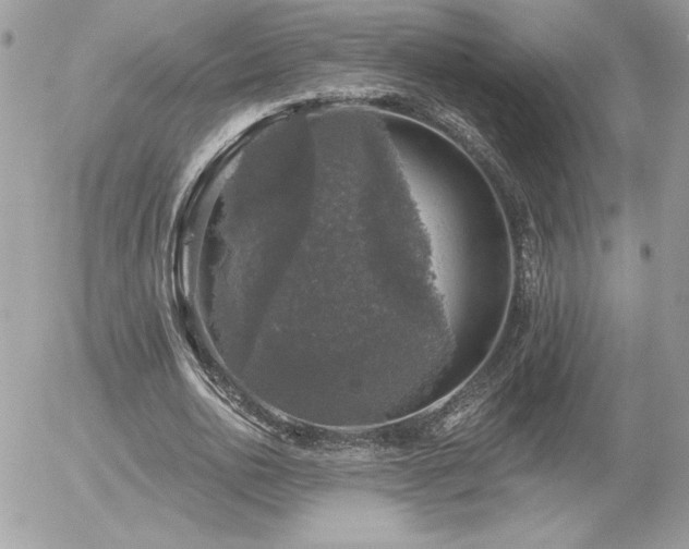 X0000056330726200508261220