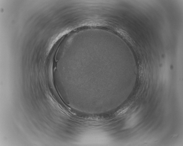 X0000056330727200508261220