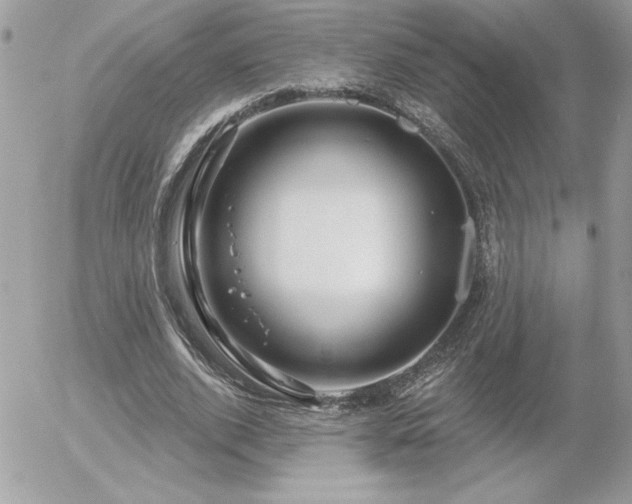 X0000056330728200508261220