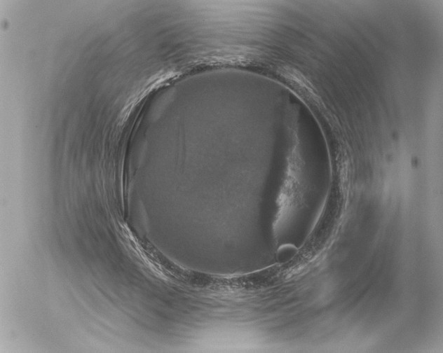 X0000056330729200508261220