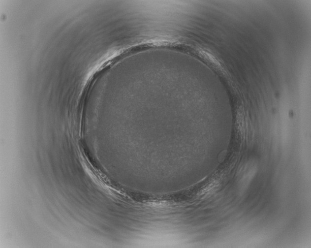 X0000056330730200508261220