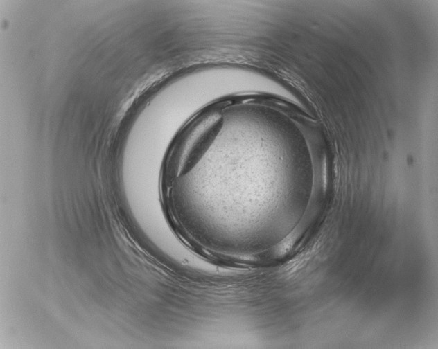 X0000056330731200508261220