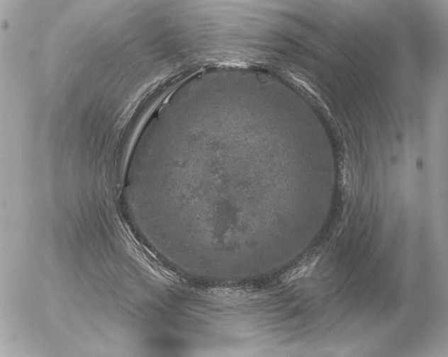 X0000056330733200508261220