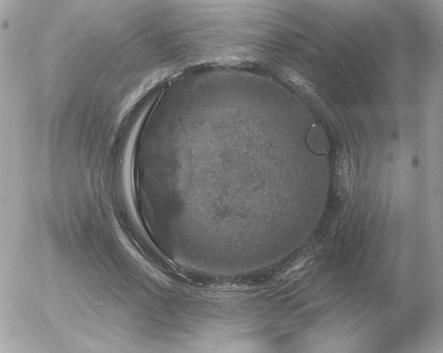 X0000056330734200508261220