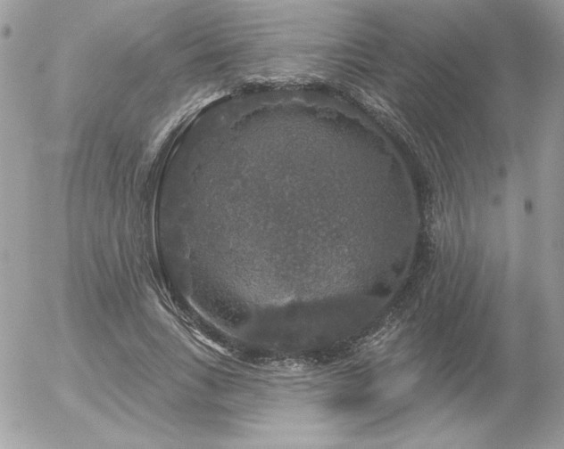 X0000056330735200508261220