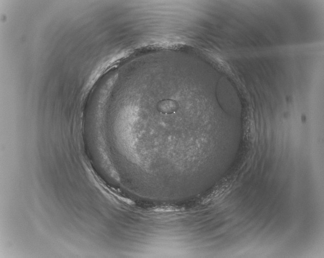 X0000056330736200508261220