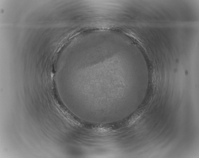 X0000056330737200508261220