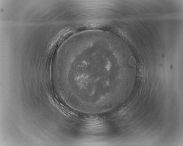 X0000056330738200508261220