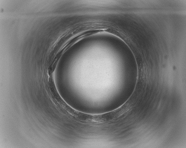 X0000056330739200508261220