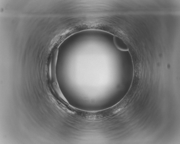 X0000056330740200508261220