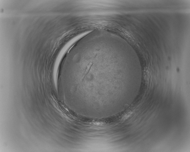 X0000056330741200508261220