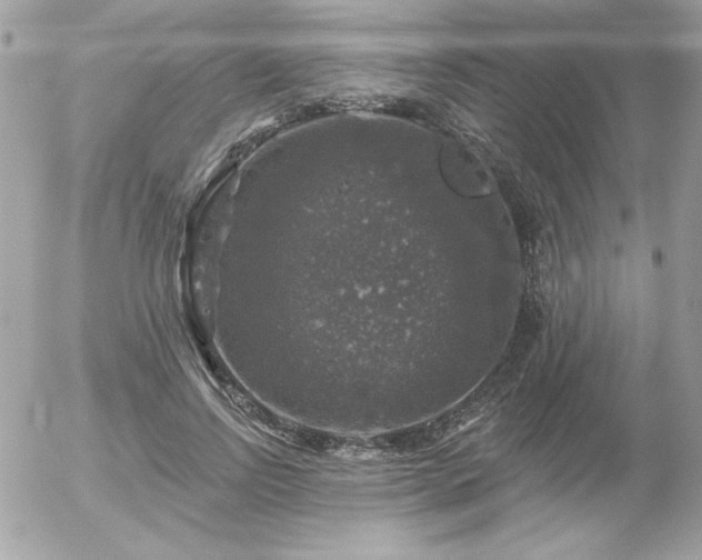 X0000056330742200508261220